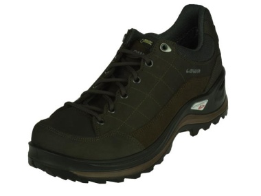 Lowa-wandelschoenen-Renegade III GTX Low1