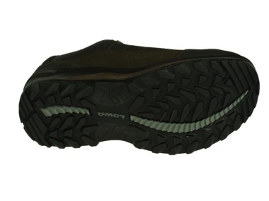 Lowa-wandelschoenen-Renegade III GTX Low3