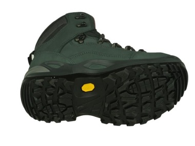 Lowa-wandelschoenen-Renegade GTX Mid3