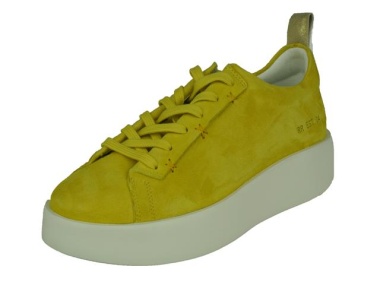 Low Cut Sneaker