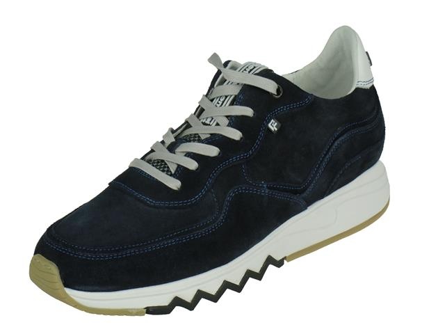 Floris Van Bommel Floris Sport