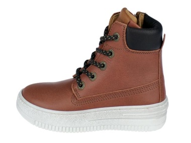 Veterboot