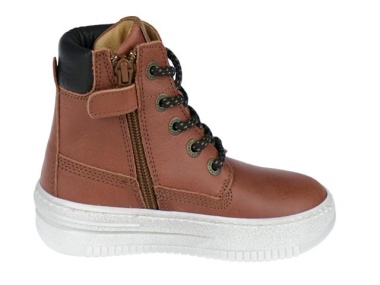 Veterboot