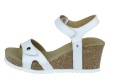 Julia Basics B17