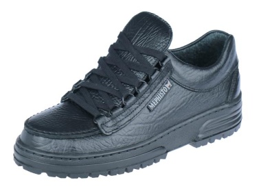 Cruiser
