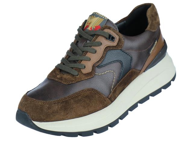 Mephisto Cruz afbeelding